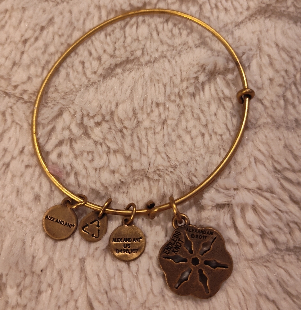 2017 Alex and Ani Gold Charm Bracelet